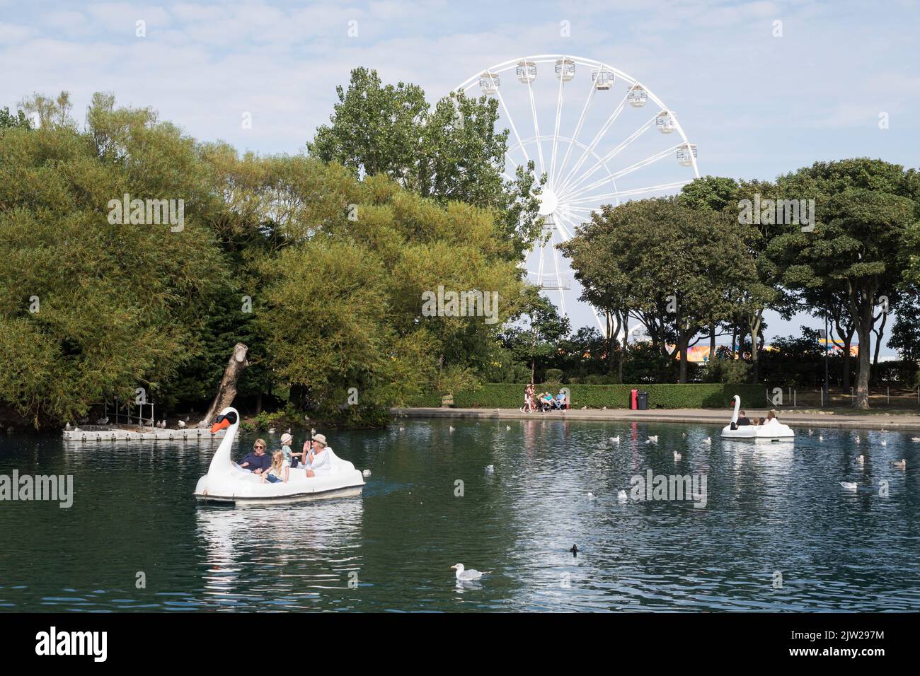 Family in a swan pedalo on South Shields South Marine Park lake, with Ferris wheel in the background, England, UK Stock Photo