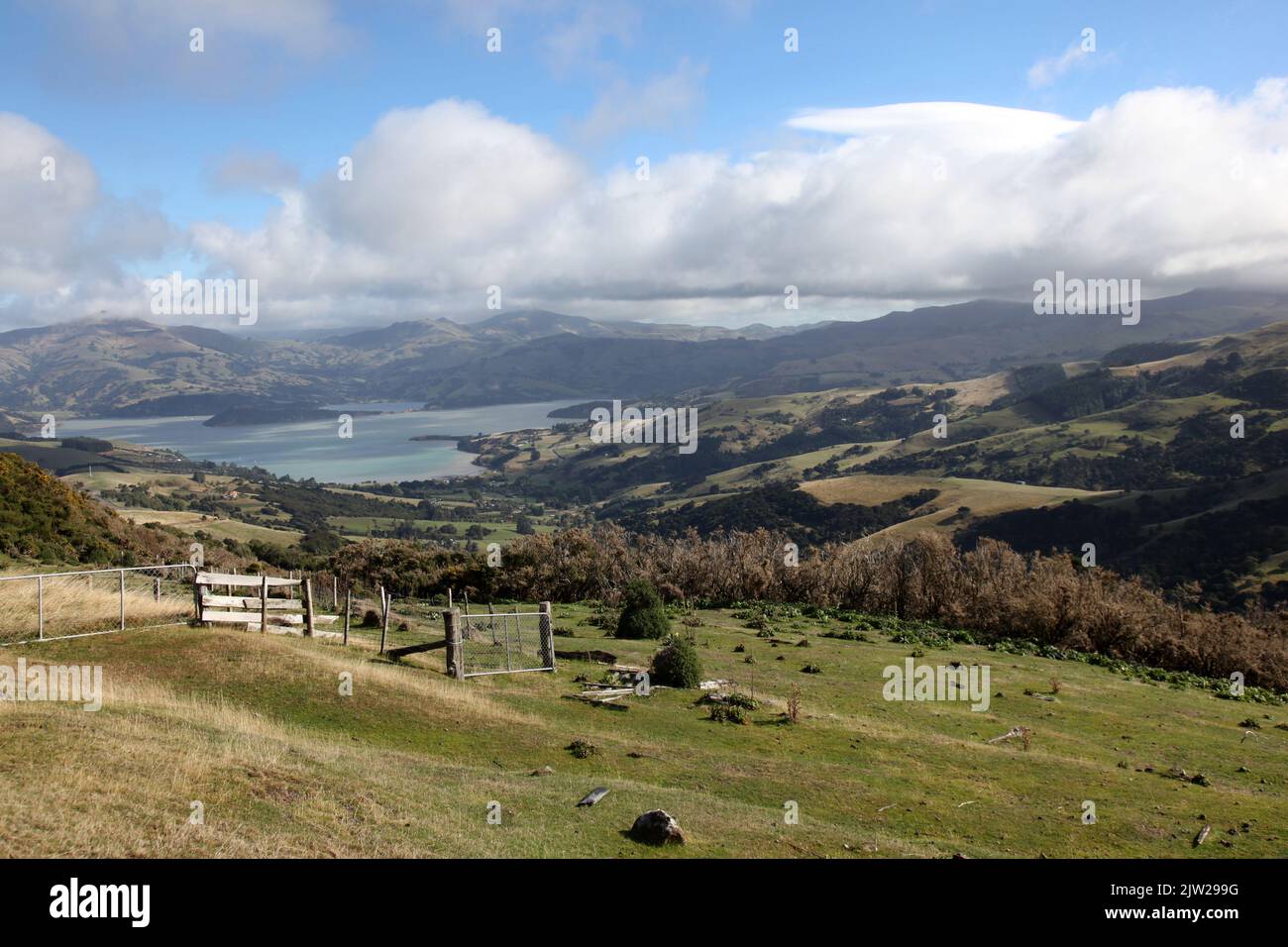 Windswept farming landscape near Akaroa in New Zealand's South Island. The Banks peninsula region is a tourist destination. Stock Photo