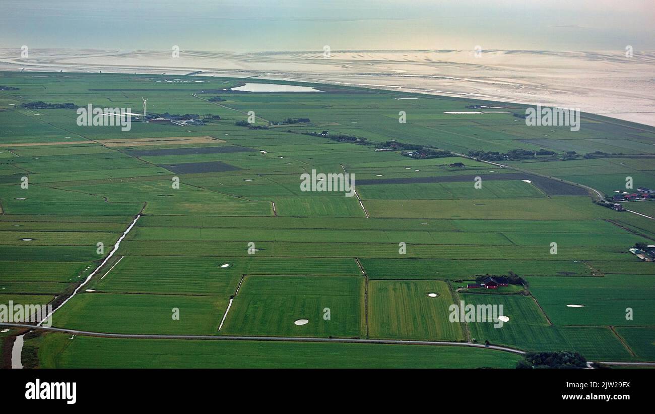 Meadows and fields with a single wind turbine, aerial view, Pellworm Island, North Frisia, Schleswig-Holstein, North Sea, Germany Stock Photo