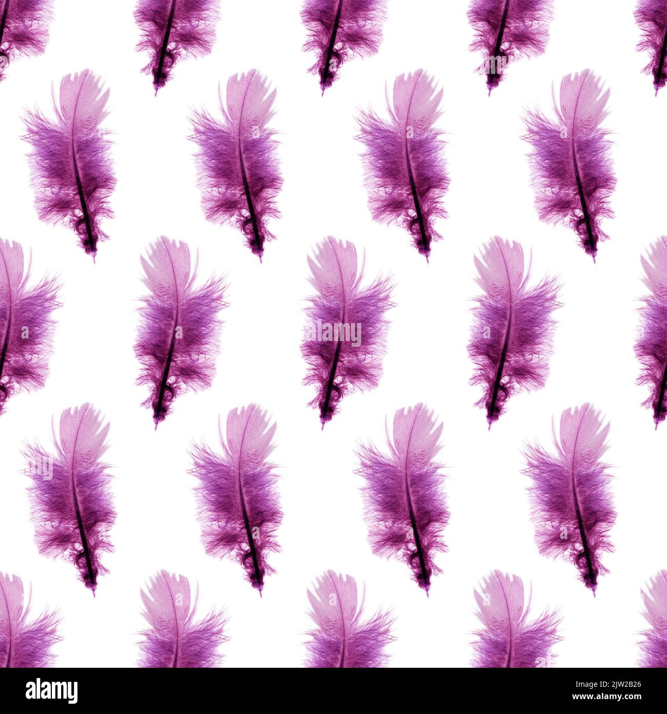Purple Feathers: Over 28,854 Royalty-Free Licensable Stock Illustrations &  Drawings