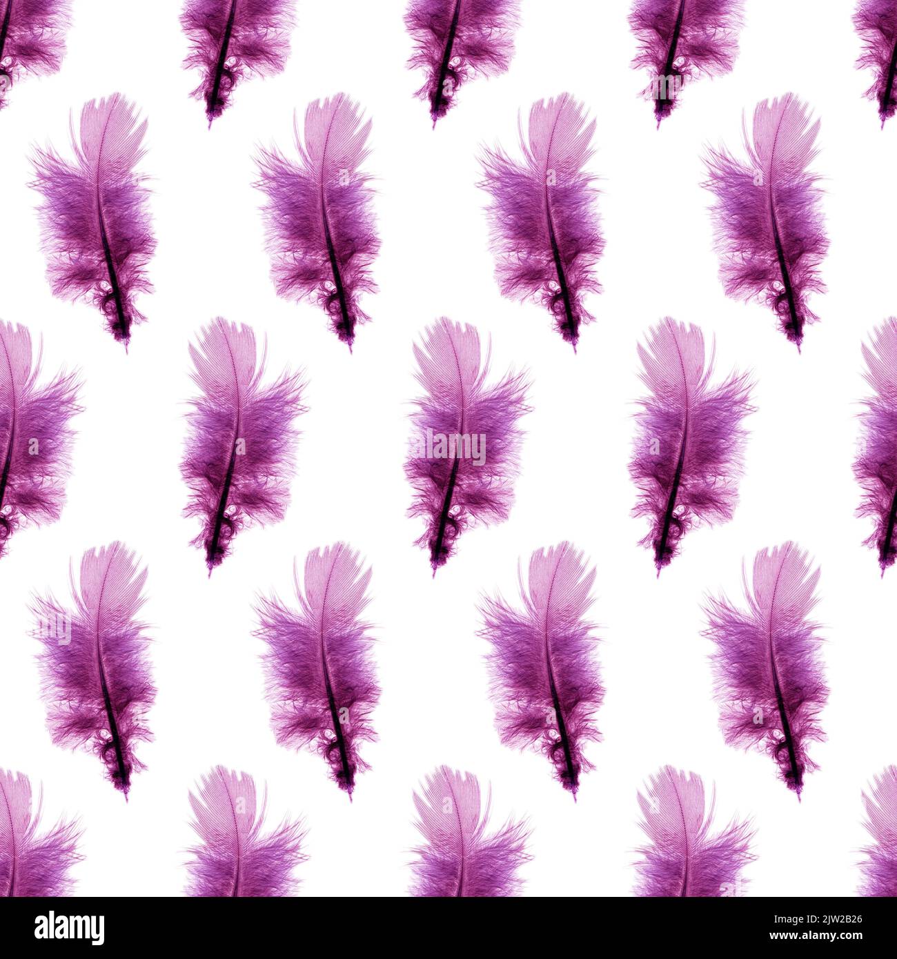 Dark Purple Feathers Seamless Background Graphic by Laura Beth Love ·  Creative Fabrica