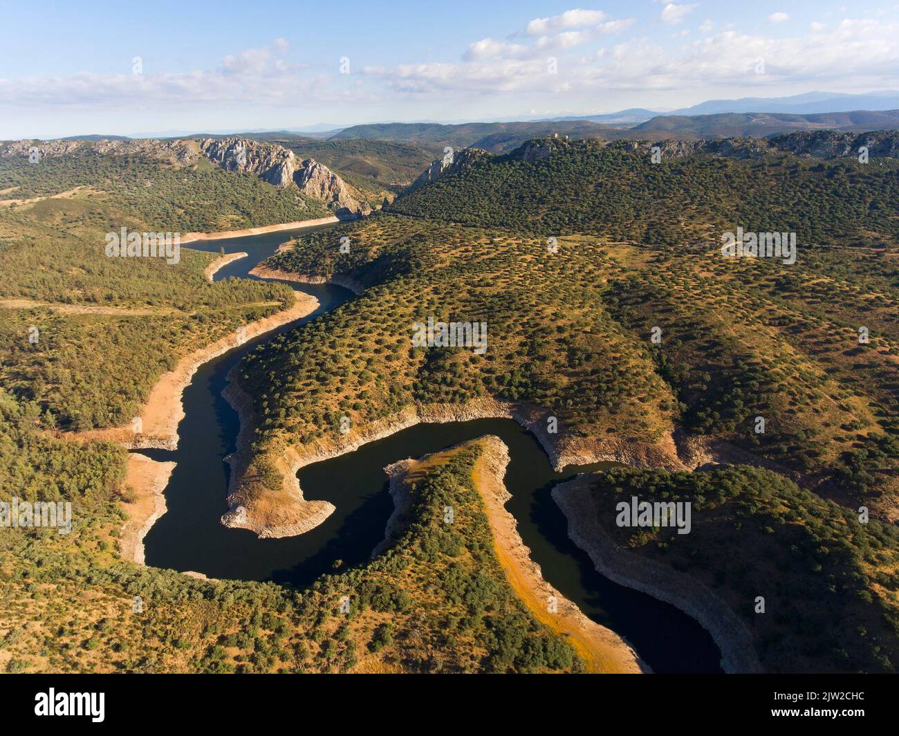 Dehesa, holm oak forest with river, drone shot, Monfraguee National Park, Extremadura, Spain Stock Photo