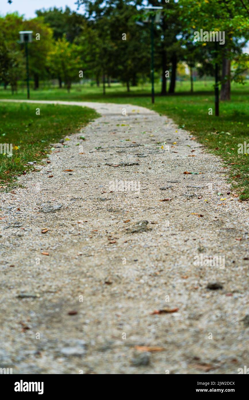 Autumn scenery with alley of fall leaves Stock Photo - Alamy