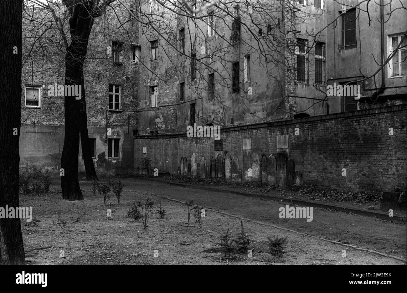 Old jewish cemetery berlin Black and White Stock Photos &amp; Images - Alamy