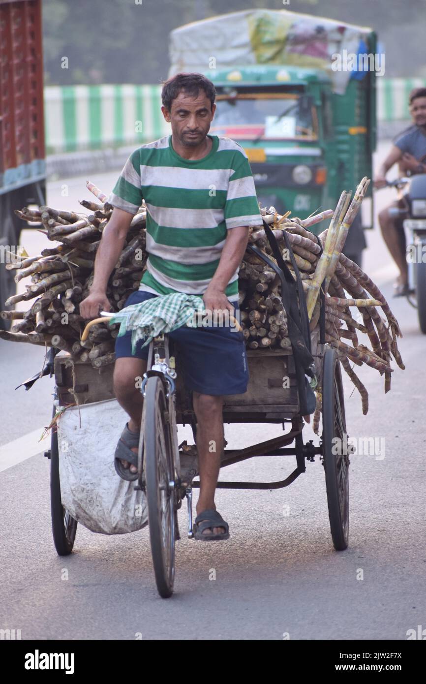 Man driving a bicycle ricksha in morning time , in New Delhi, India ...