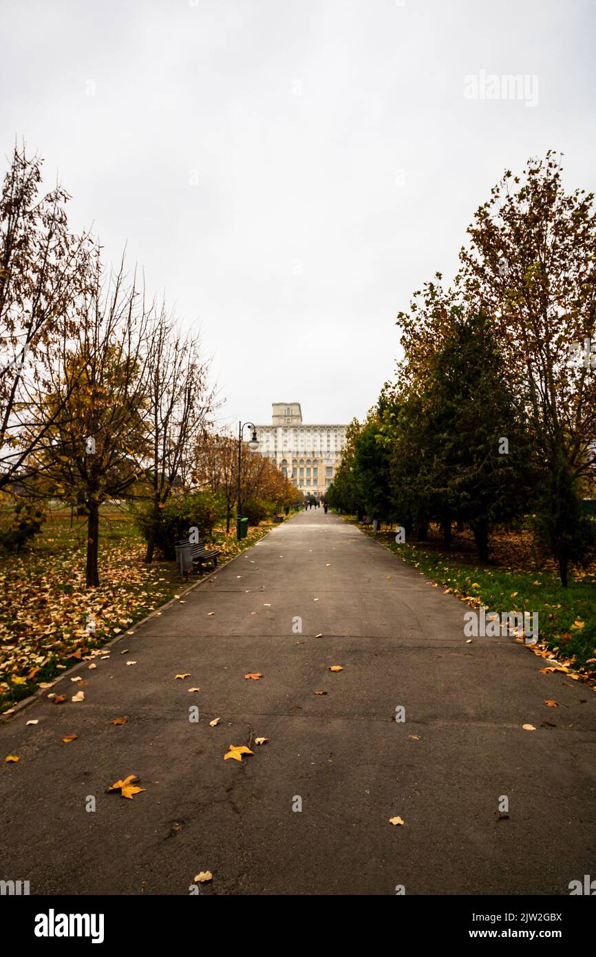Autumn scenery with alley of fall leaves Stock Photo - Alamy