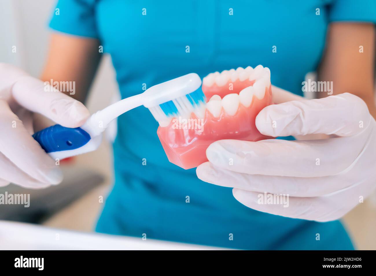Cropped unrecognizable female dentist in uniform brushing denture with