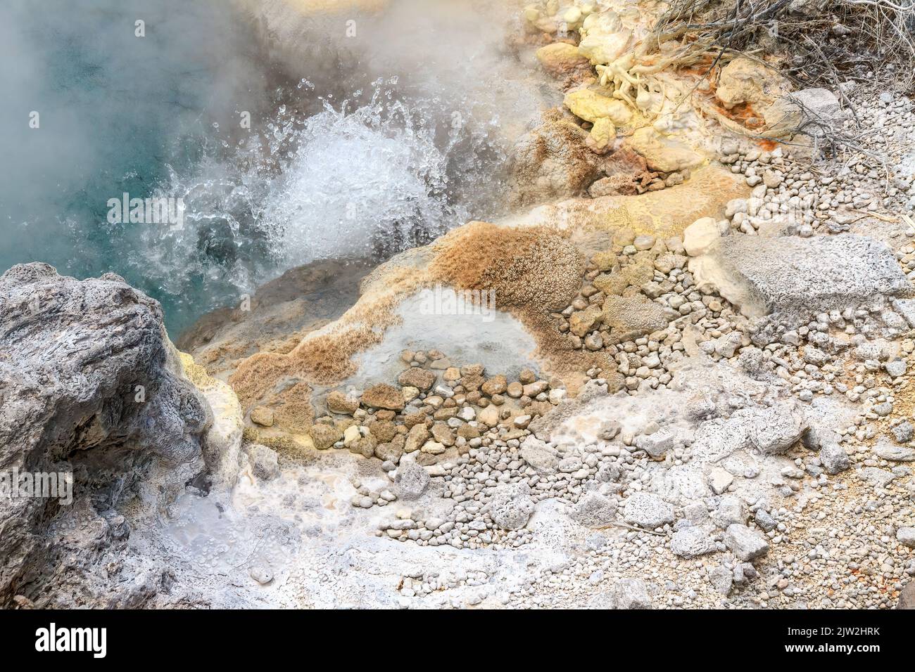 A boiling hot geothermal spring, with deposits of sulfur and calcite on