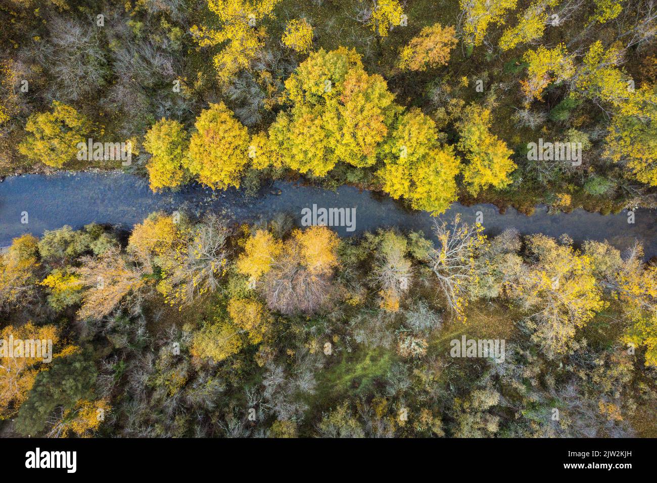 Overhead aerial view colorful trees hi-res stock photography and images ...