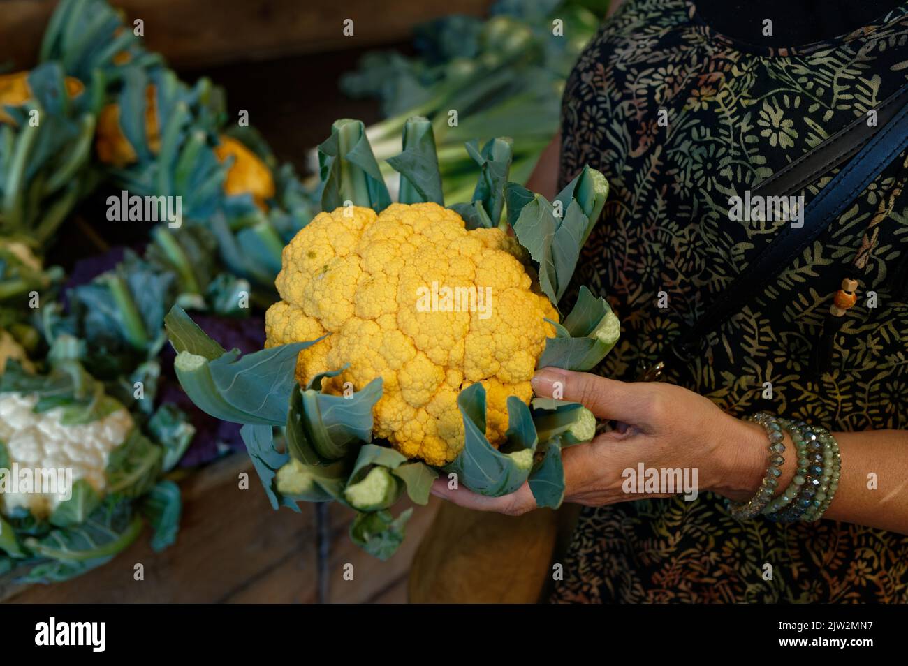 a woman in a grocery store holds an orange cauliflower in her hand Stock Photo