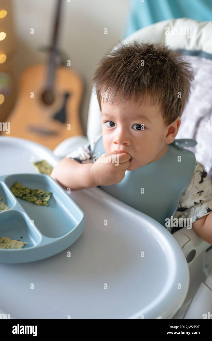 Baby boy eating by himself in his high chair at home. Adorable one year old baby having a meal holding food in his hands and eating at home Stock Photo