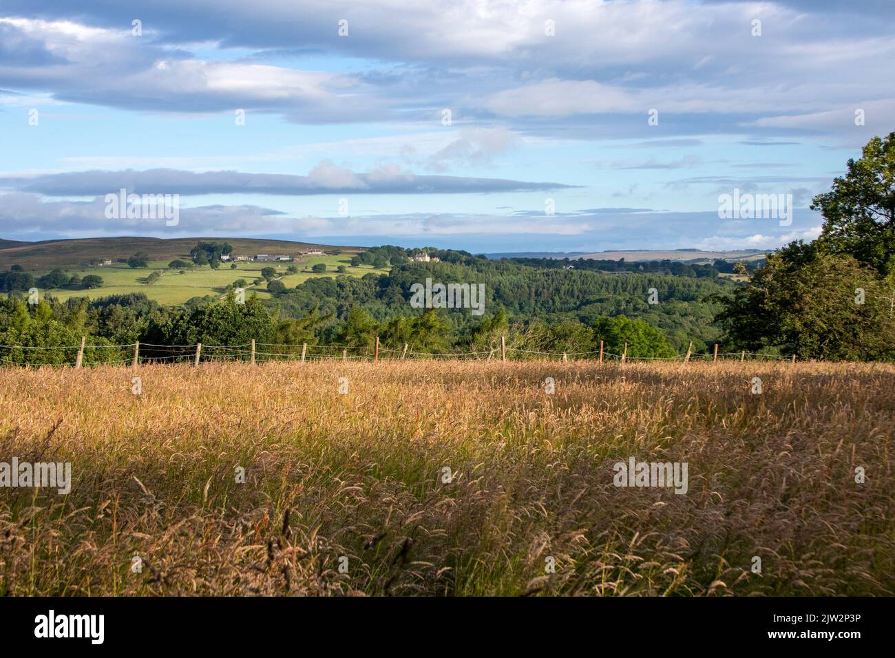 View across the Derwent Valley in summer Stock Photo