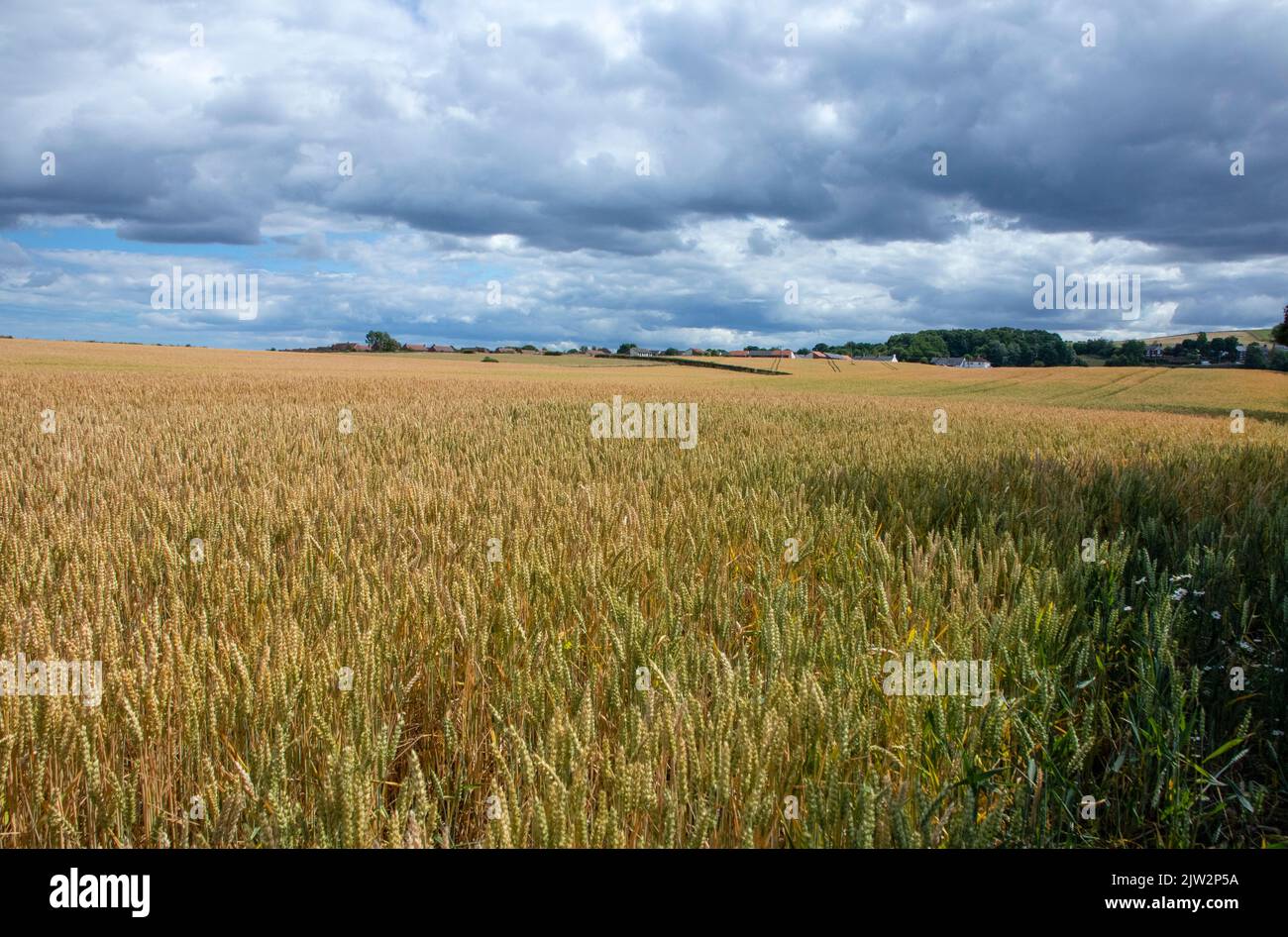 View across the Derwent Valley in summer Stock Photo