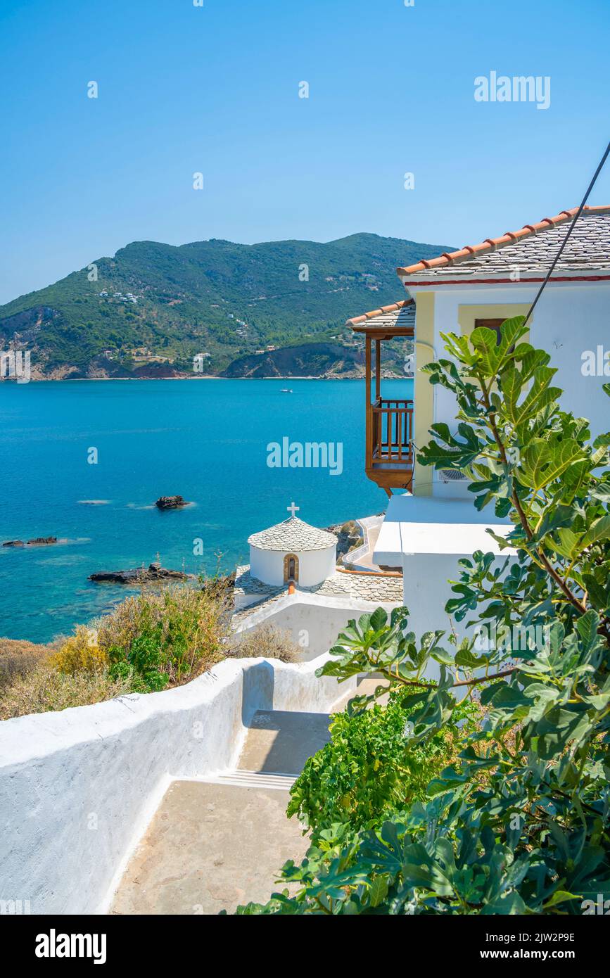 View of whitewashed houses overlooking sea, Skopelos Town, Skopelos Island, Sporades Islands, Greek Islands, Greece, Europe Stock Photo