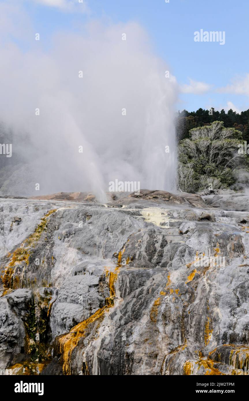 Pōhutu Geyser Exploding The Pohutu Geyser erupts about once or twice an hour sending about 30 ...