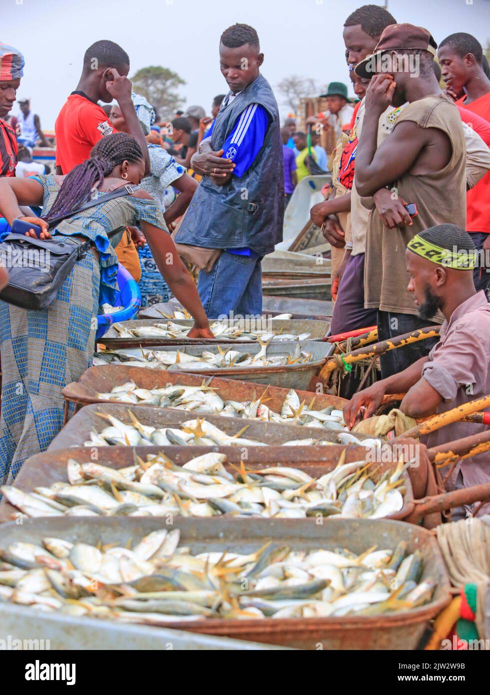Africa,Gambia Fish Market ,Bakau Stock Photo Alamy