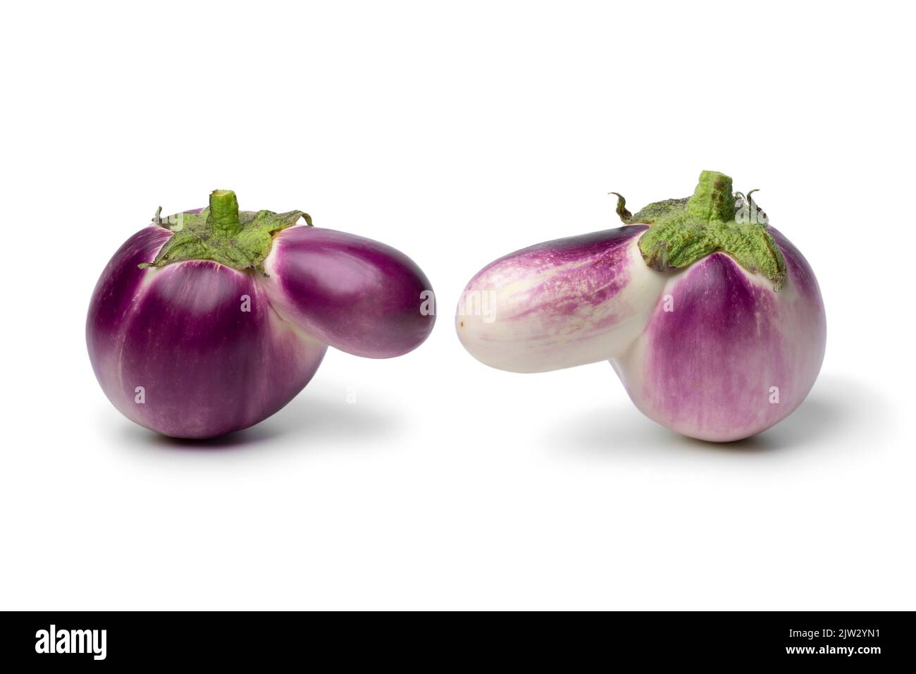 Pair of deformed fresh purple eggplant with a nose close up isolated on white background Stock Photo