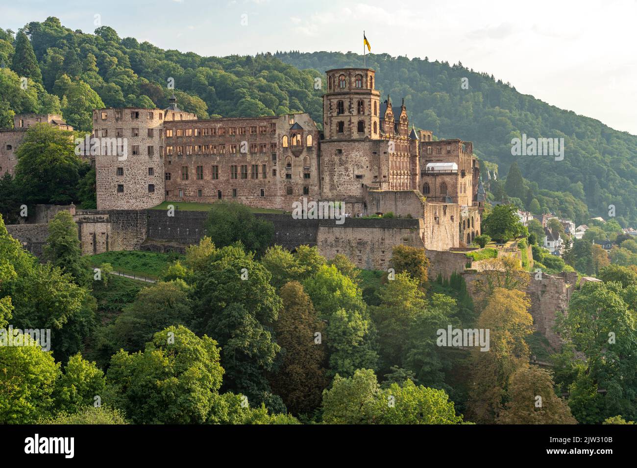 Ruine des Schloss in Heidelberg, Baden-Württemberg,  Deutschland | Ruins of Schloss Heidelberg in Heidelberg, Baden-Württemberg, Germany Stock Photo