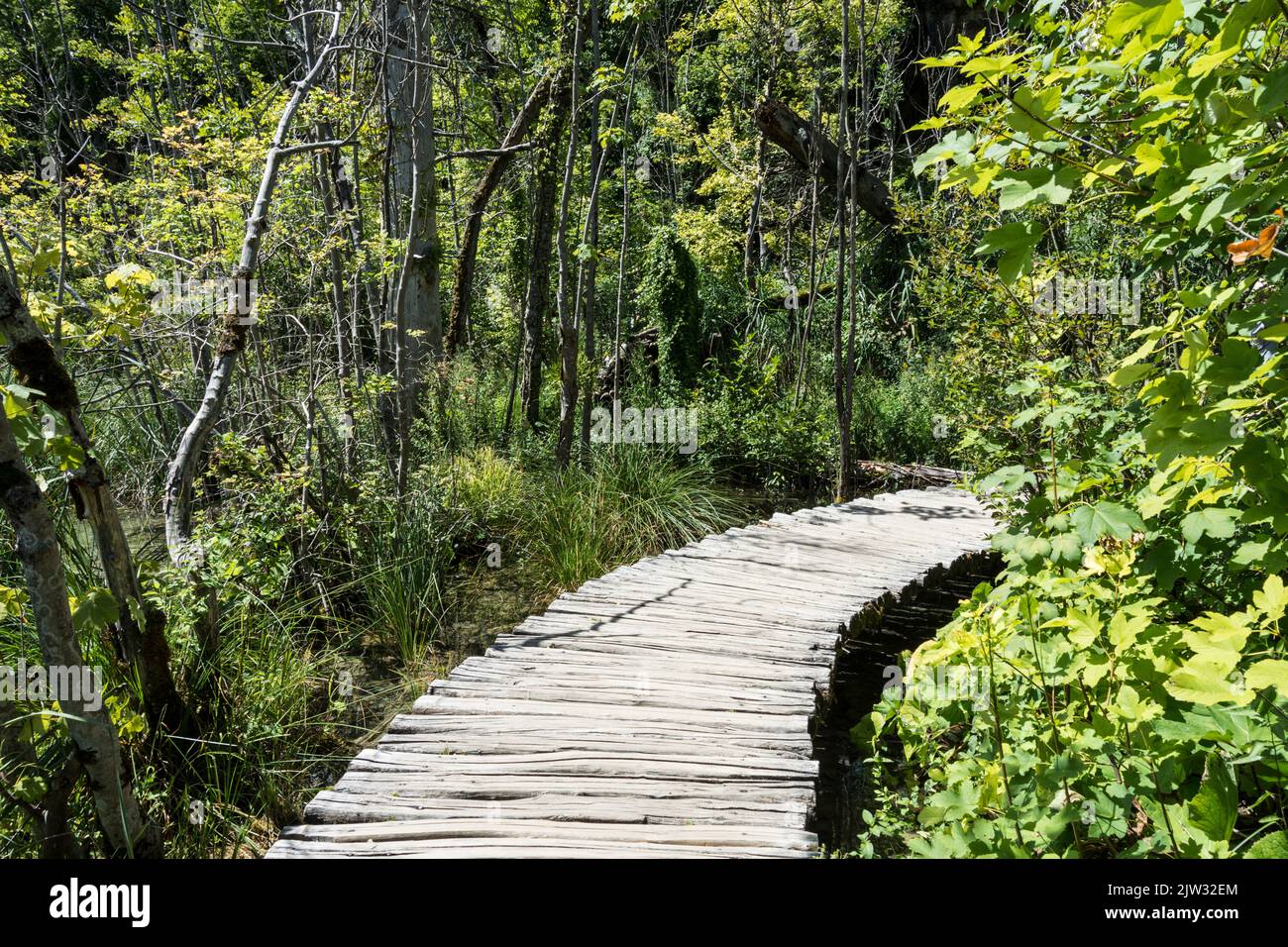 A boardwalk over marshy land in Plitvice Lakes National Park, Croatia, Europe. Stock Photo