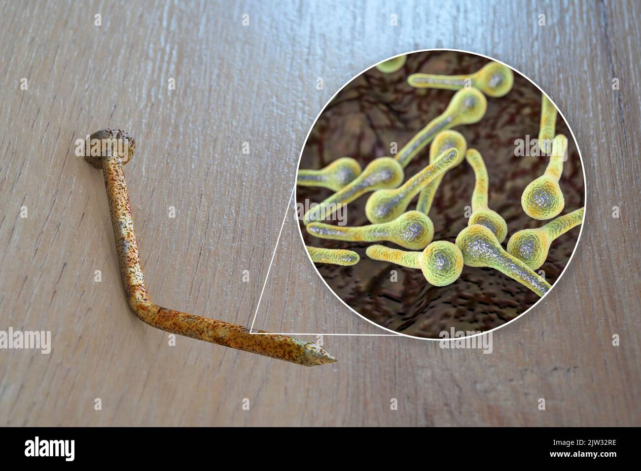 Transmission of tetanus bacteria. Conceptual illustration showing an old rusty metal nail as a source of infection and a close-up view of Clostridium tetani bacteria, the cause of tetanus. Stock Photo