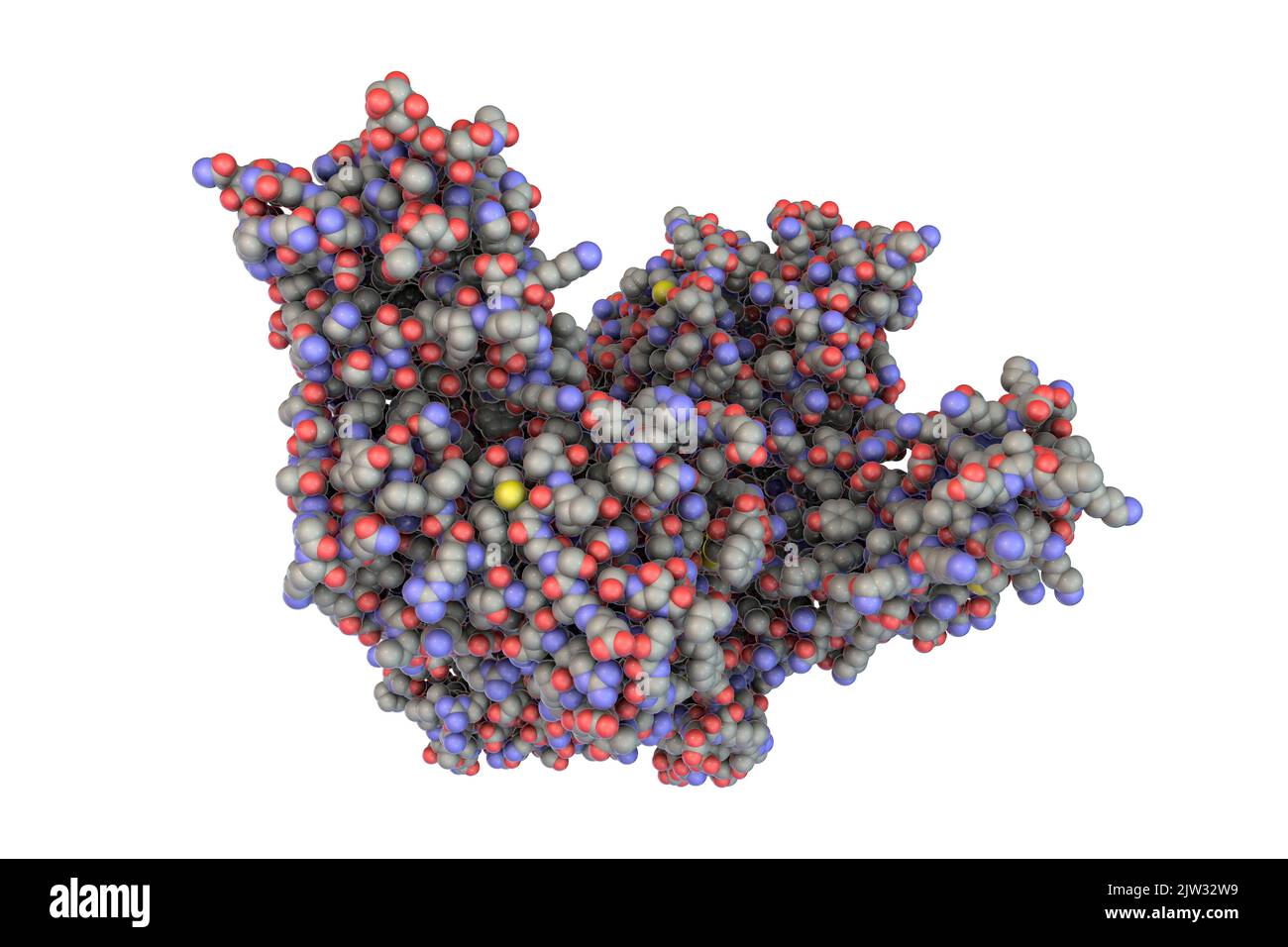 Molecule of tetanus neurotoxin, illustration. This is a neurotoxin protein produced by the bacterium Clostridium tetani, the causative agent of tetanus. Stock Photo