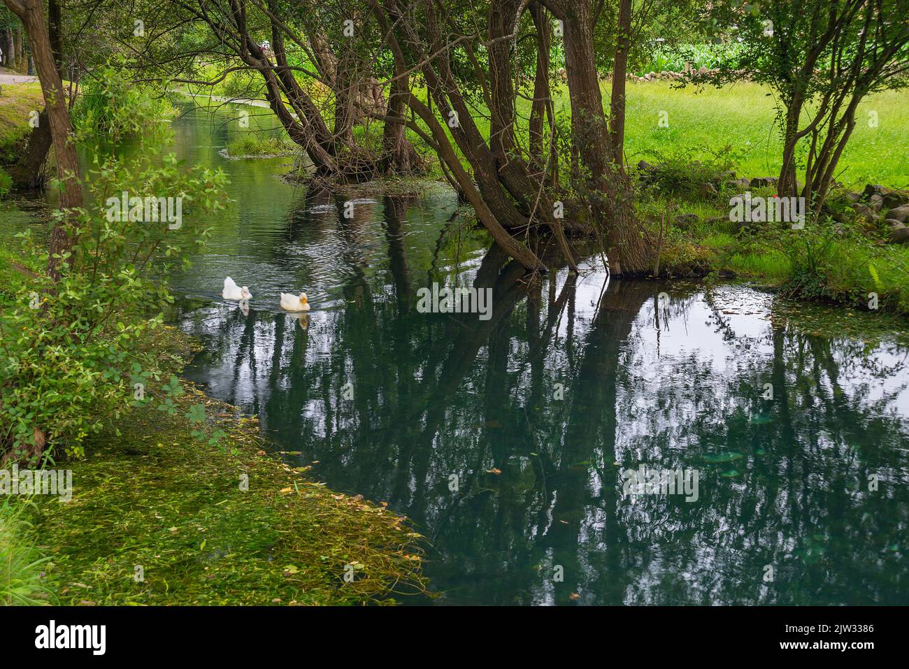 River La Fuentona. Ruente, Cantabria, Spain. Stock Photo