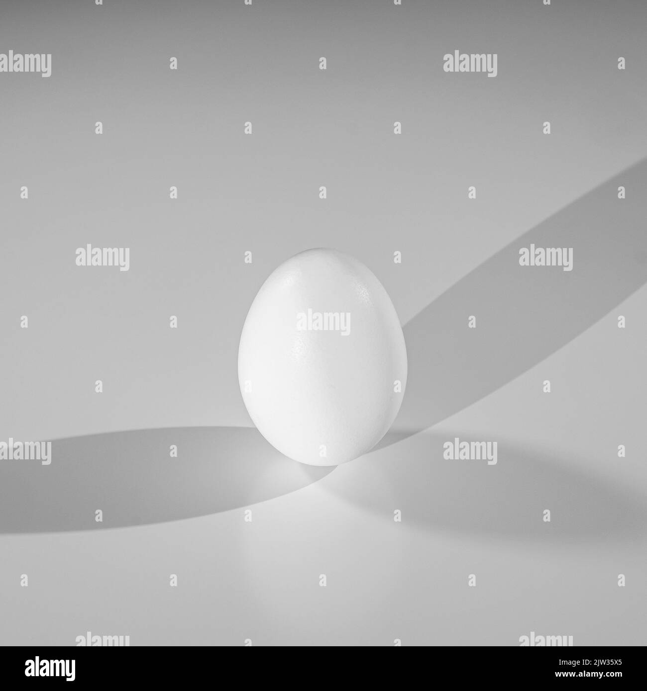 White, chicken Egg close-up on a white background Stock Photo - Alamy