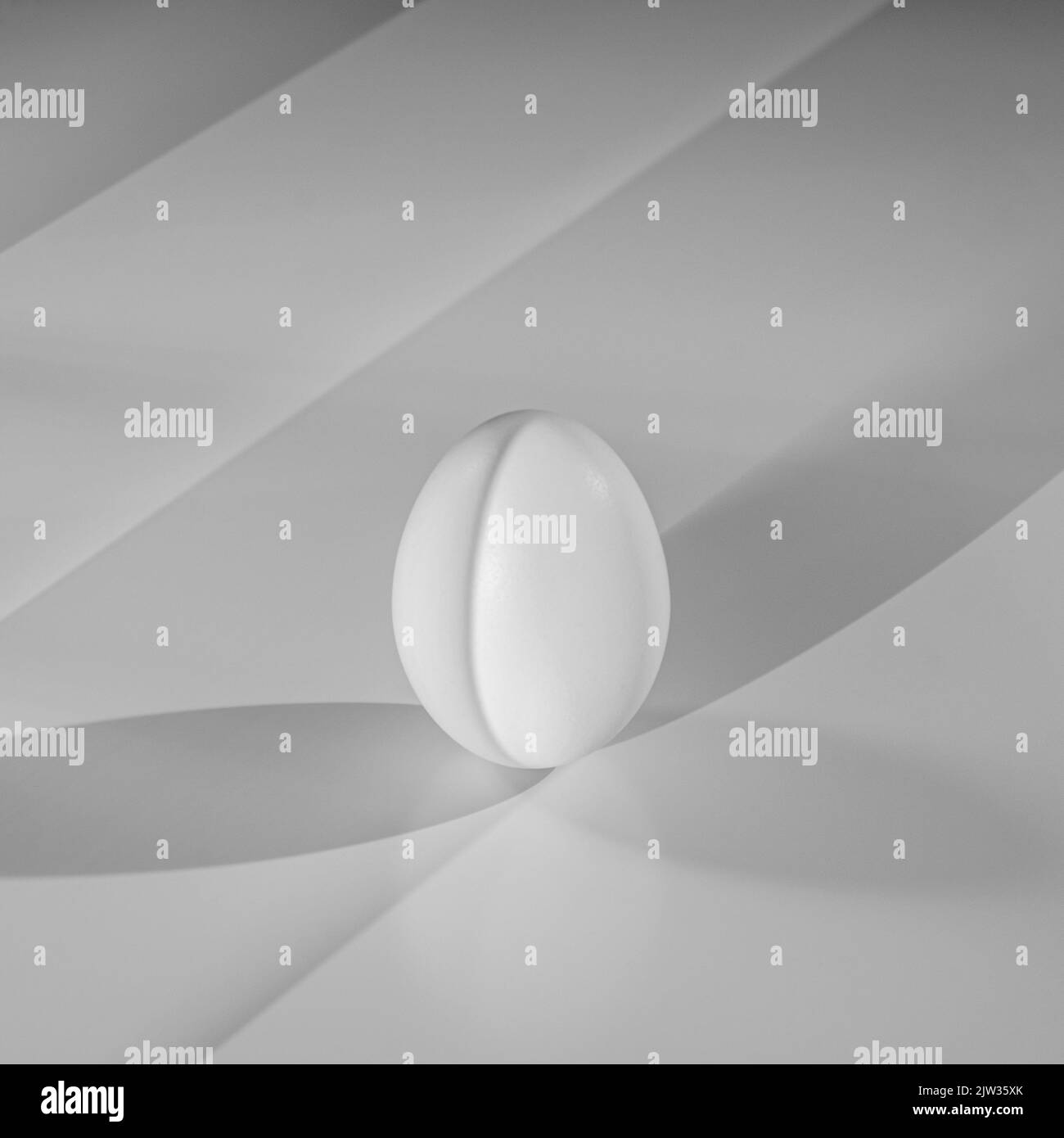 White, chicken Egg close-up on a white background Stock Photo - Alamy