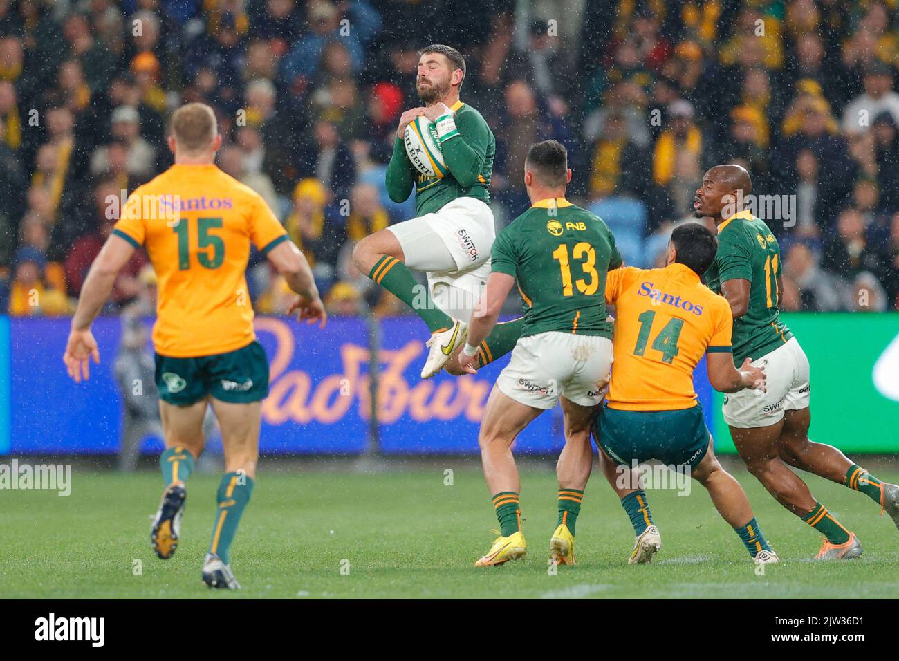Willie le roux springboks hi-res stock photography and images - Alamy