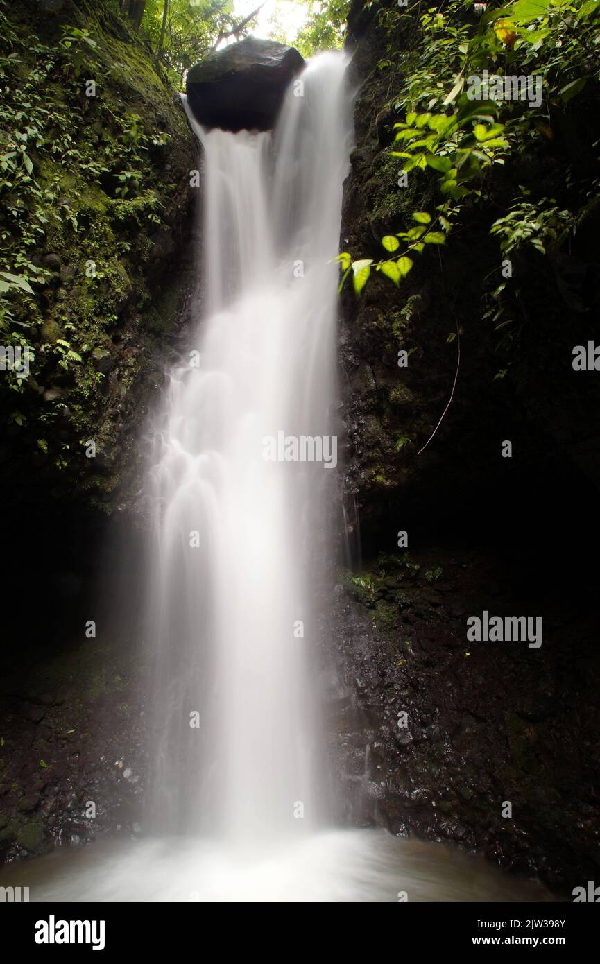 A vertical of a waterfall flowing down the rocks covered with greenery ...