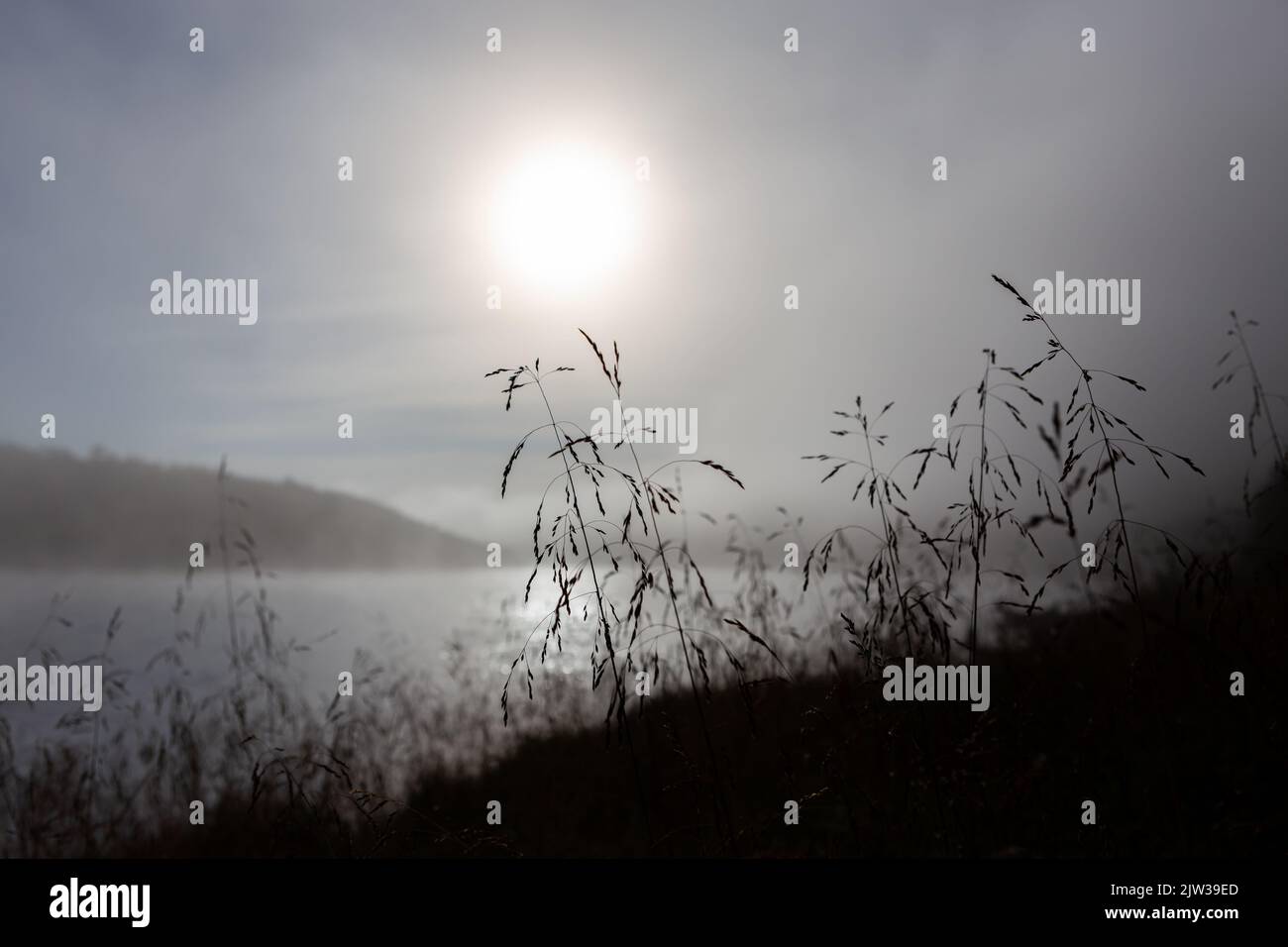 Hay in the foreground, silhouette image. In the background is the river Teno in Finnish Lapland. Foggy, early morning. The atmosphere is slow and calm Stock Photo
