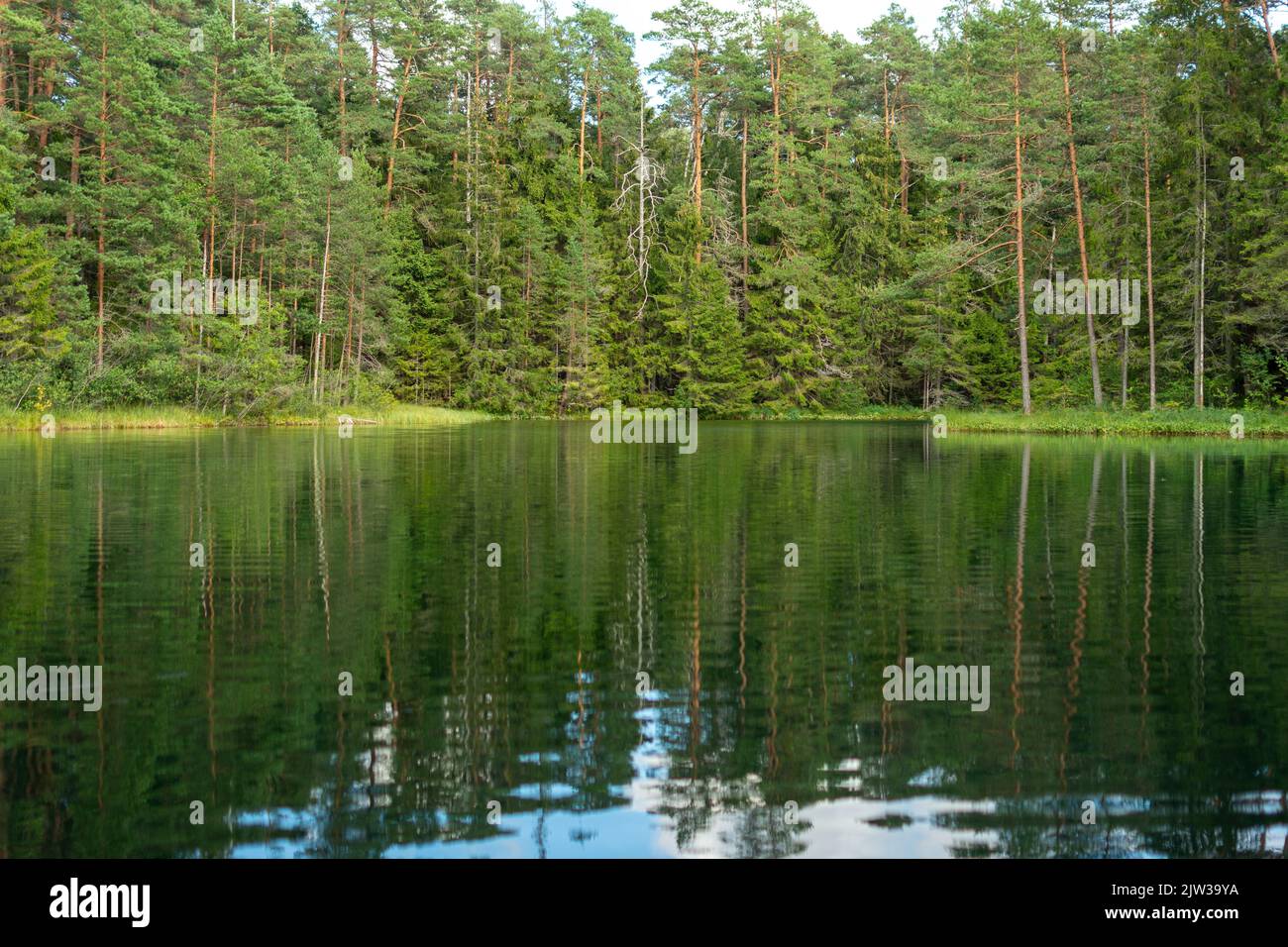 a beautiful view of a lake near forest Stock Photo - Alamy