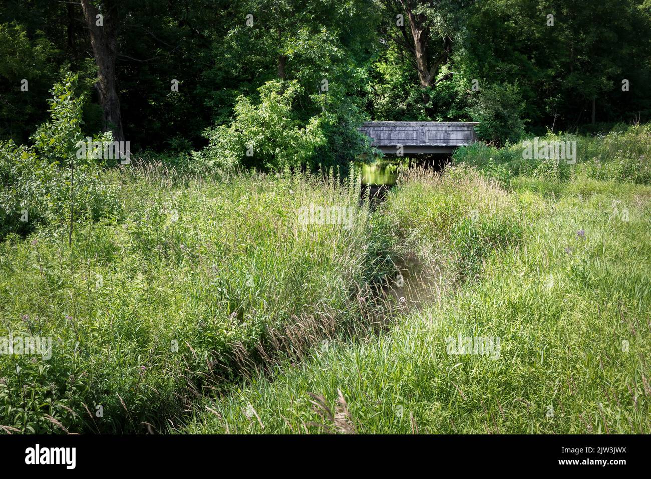 An old bridge in a forest stands over the winding Francis Creek near Manitowoc, Wisconsin Stock