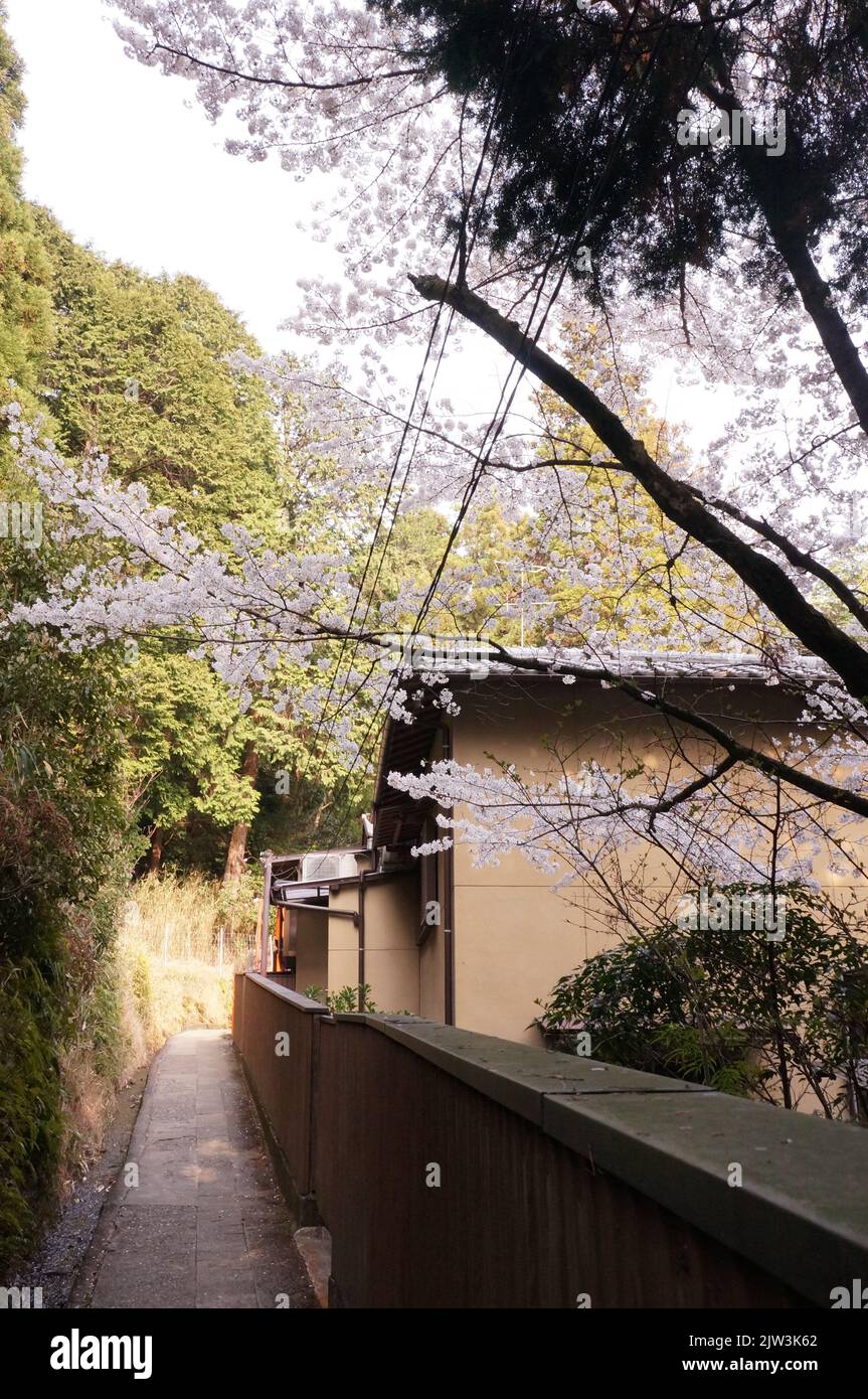 Houses near Fushimi Inari Temple Stock Photo - Alamy