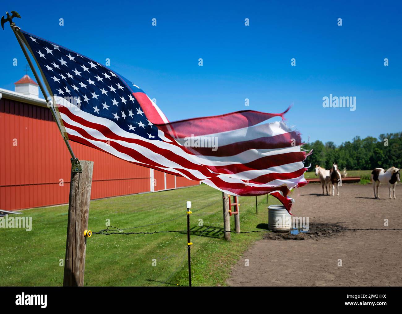 A flag, attached to a fence post with horses in the background, waves in the wind at Francis Creek near Manitowoc, Wisconsin. Stock Photo