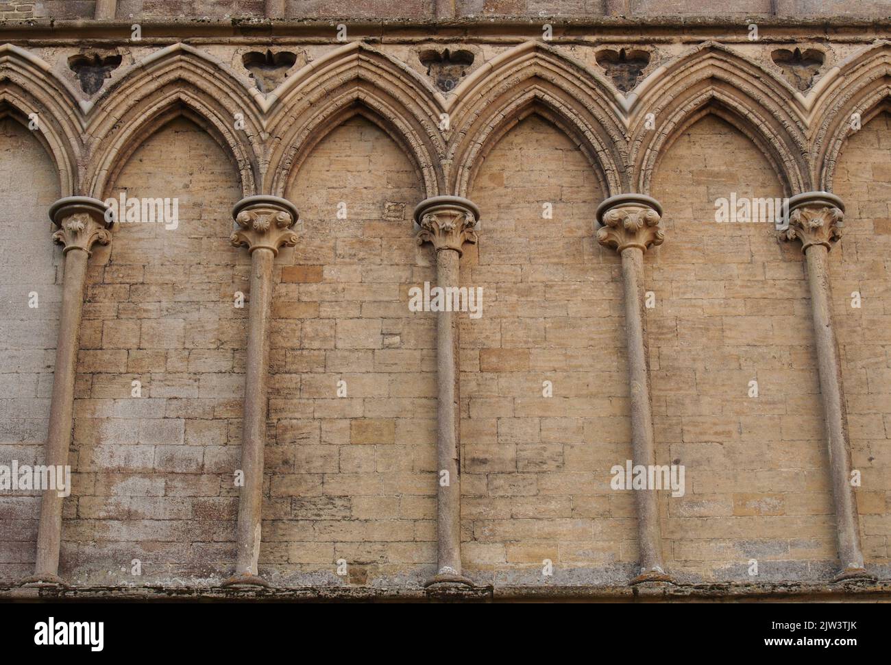 A view of parts of the detailed masonry carvings of Ely cathedral, Cambridgeshire showing the skill and intricate stone carvings in the walls Stock Photo