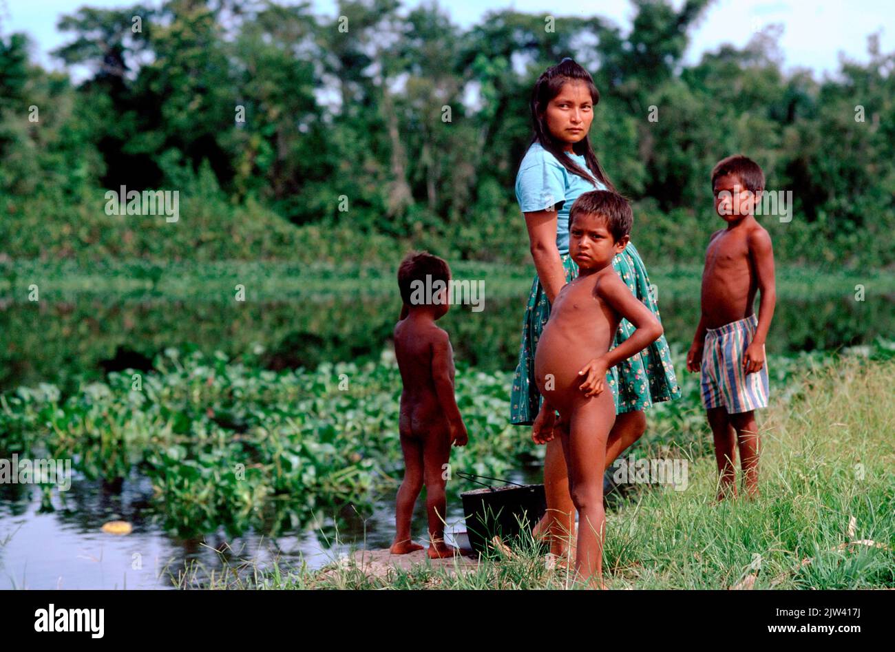 A family of Warao Indians in the Orinoco delta.   The Orinoco basin is threatened by agricultural and mining exploitation and climate change.  The Ori Stock Photo