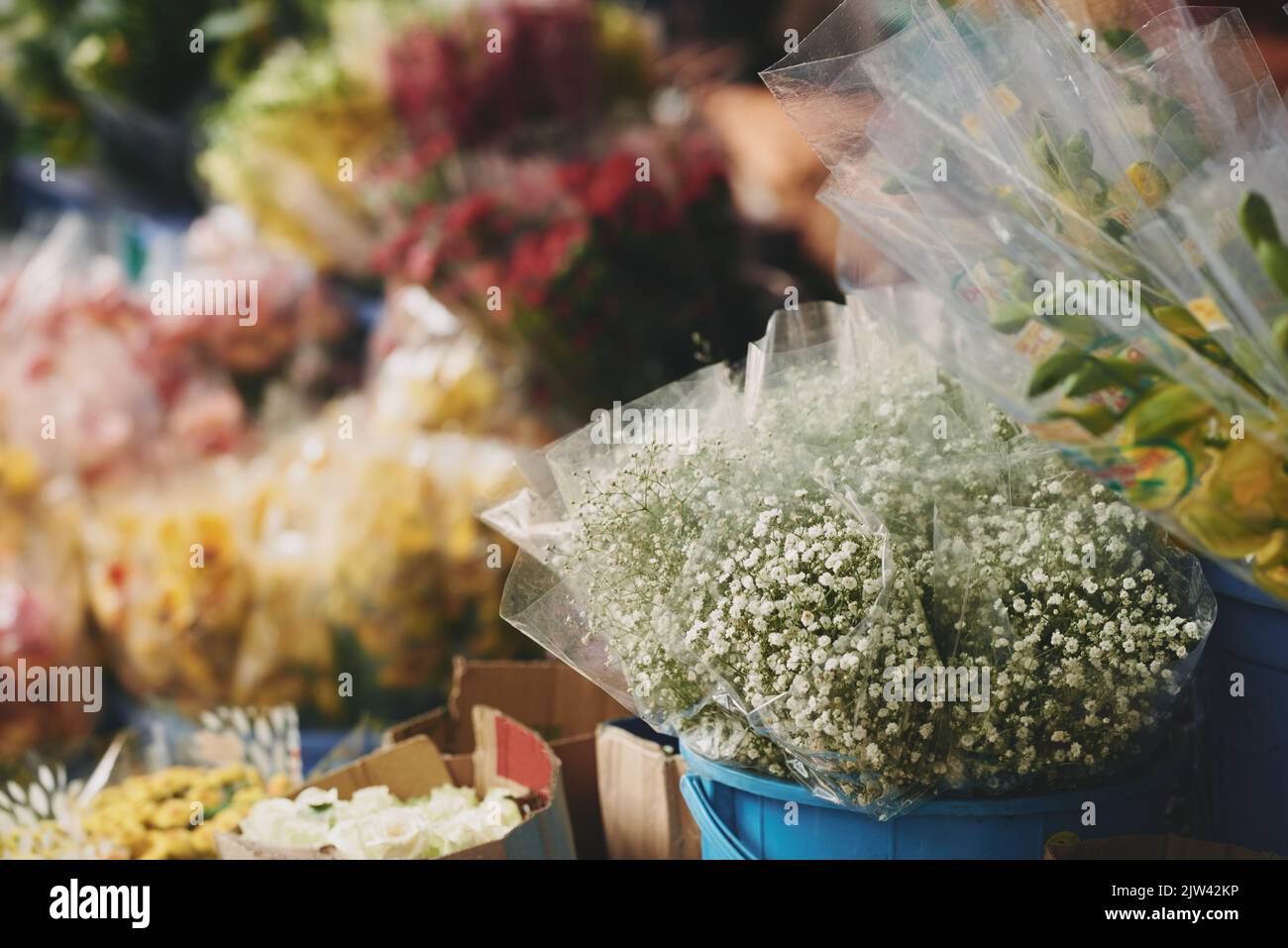 Various flowers in buckets at local market, selective focus Stock Photo