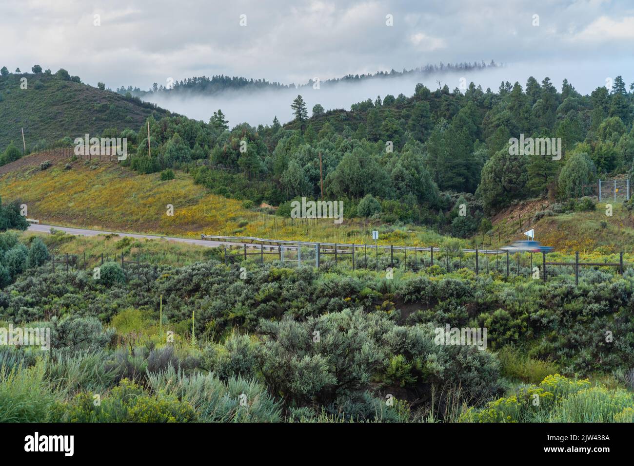 A car traveling through the mountains on Highway 64, early morning fog rising out of the canyon, sagebrush in the foreground. Stock Photo