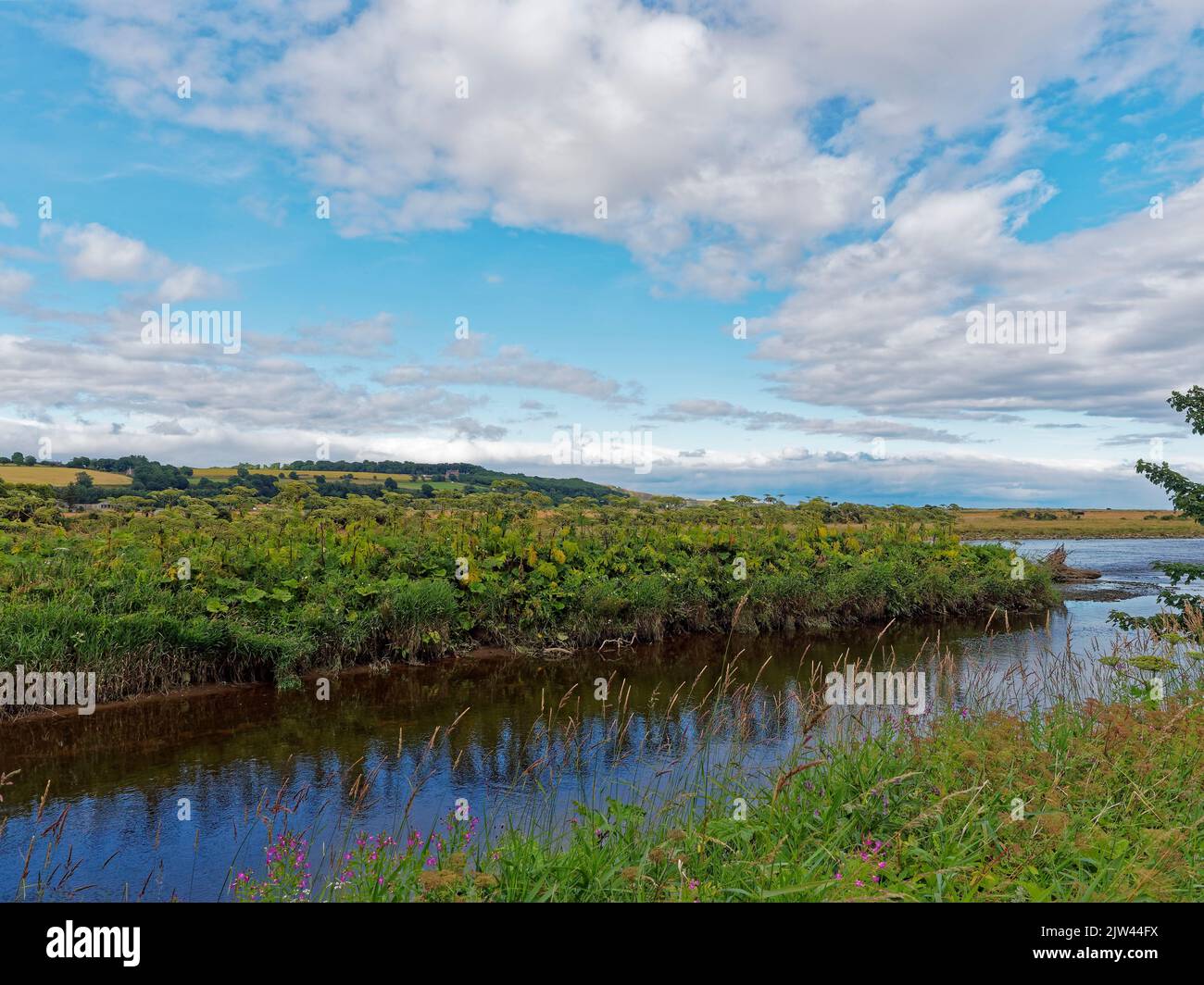 Looking along the banks of a tributary of the River North Esk close to St Cyrus Beach on a sunny Summers day in June. Stock Photo