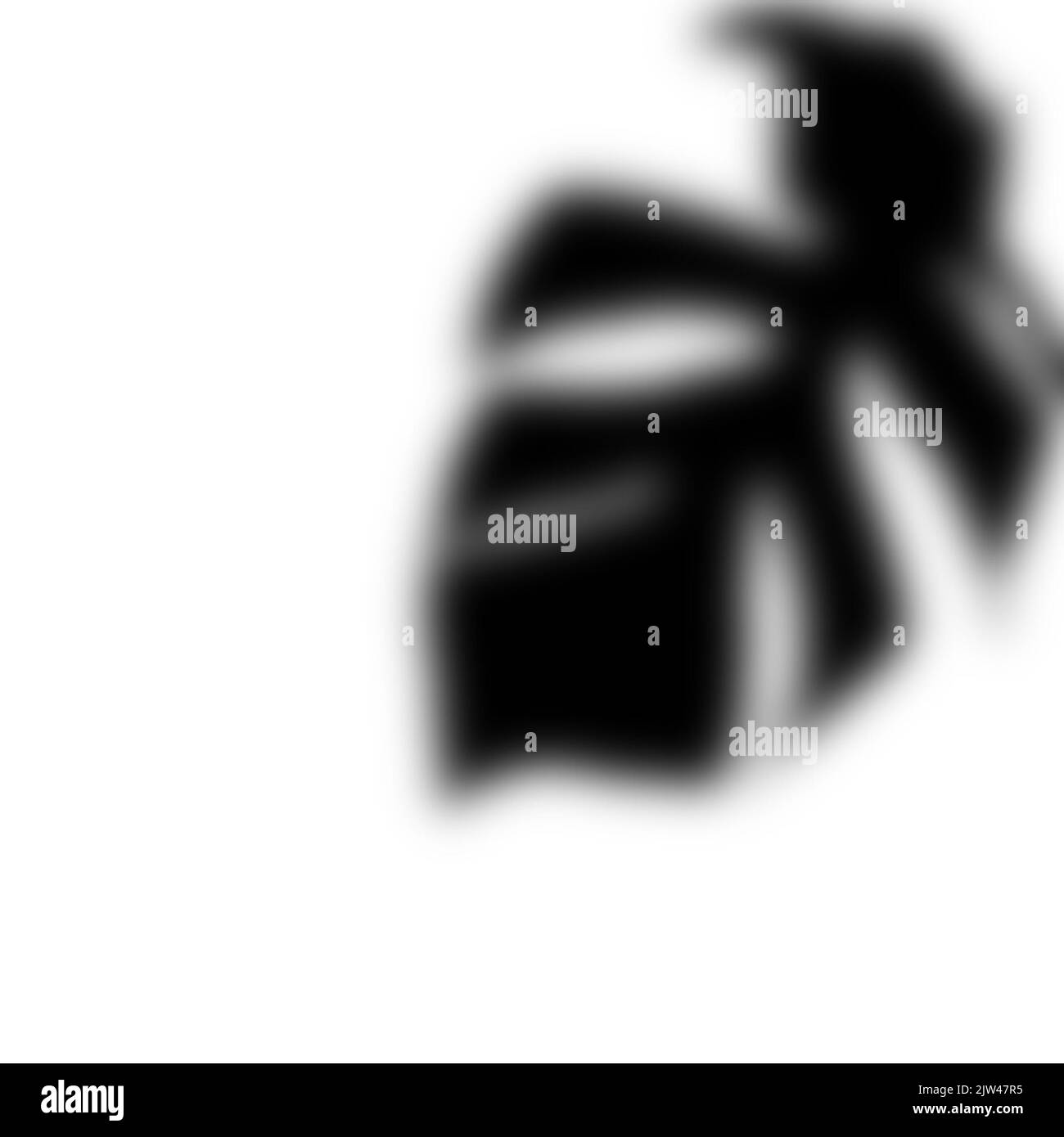 realistic shadow from a monstera. black shadow from the leaves of the