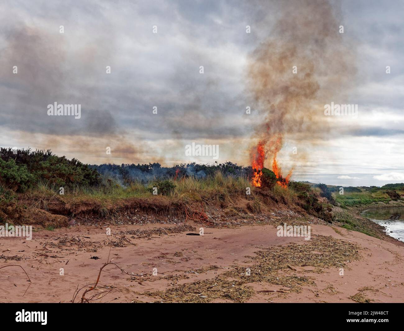 Flames and smoke from a Wildfire in the Gorse and Grasses at the Dunes of Montrose Beach on a Summers evening Stock Photo