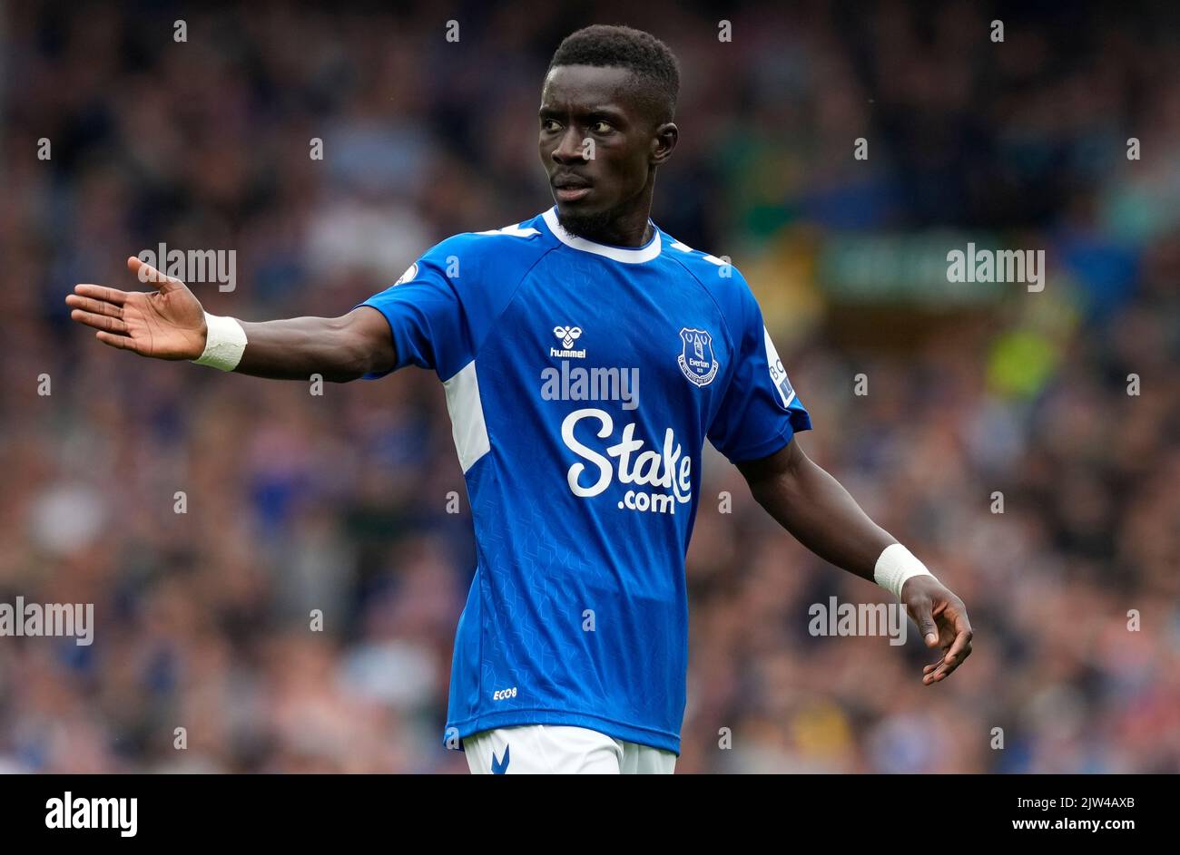 Liverpool, England, 3rd September 2022.   Idrissa Gueye of Everton during the Premier League match at Goodison Park, Liverpool. Picture credit should read: Andrew Yates / Sportimage Stock Photo