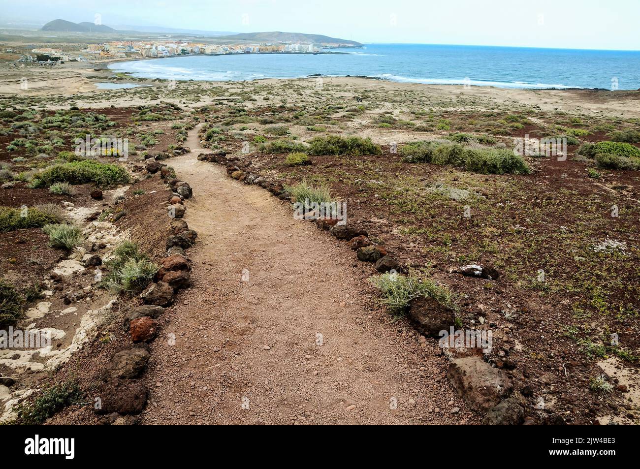 A shot of a sandy pathway surrounded by plants on the coast of a beach ...