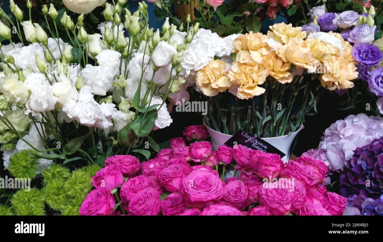 Roses, hydrangeas, chrysanthemums and other flowers in refrigerator