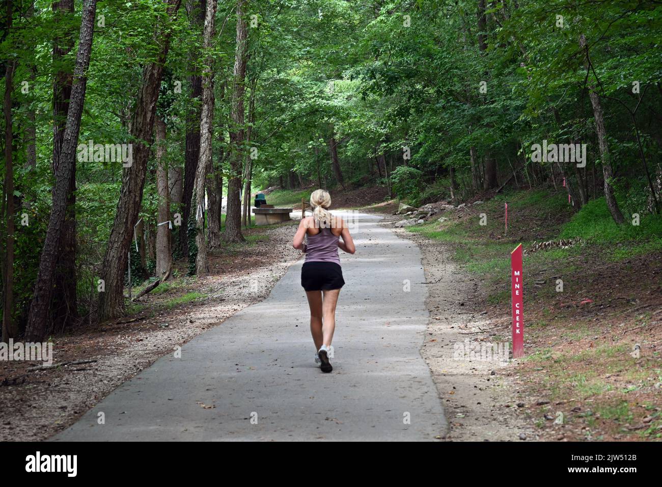 A woman jogging on the Mine Creek Trail around Shelley Lake on one of Raleigh's many wooded greenways. Stock Photo