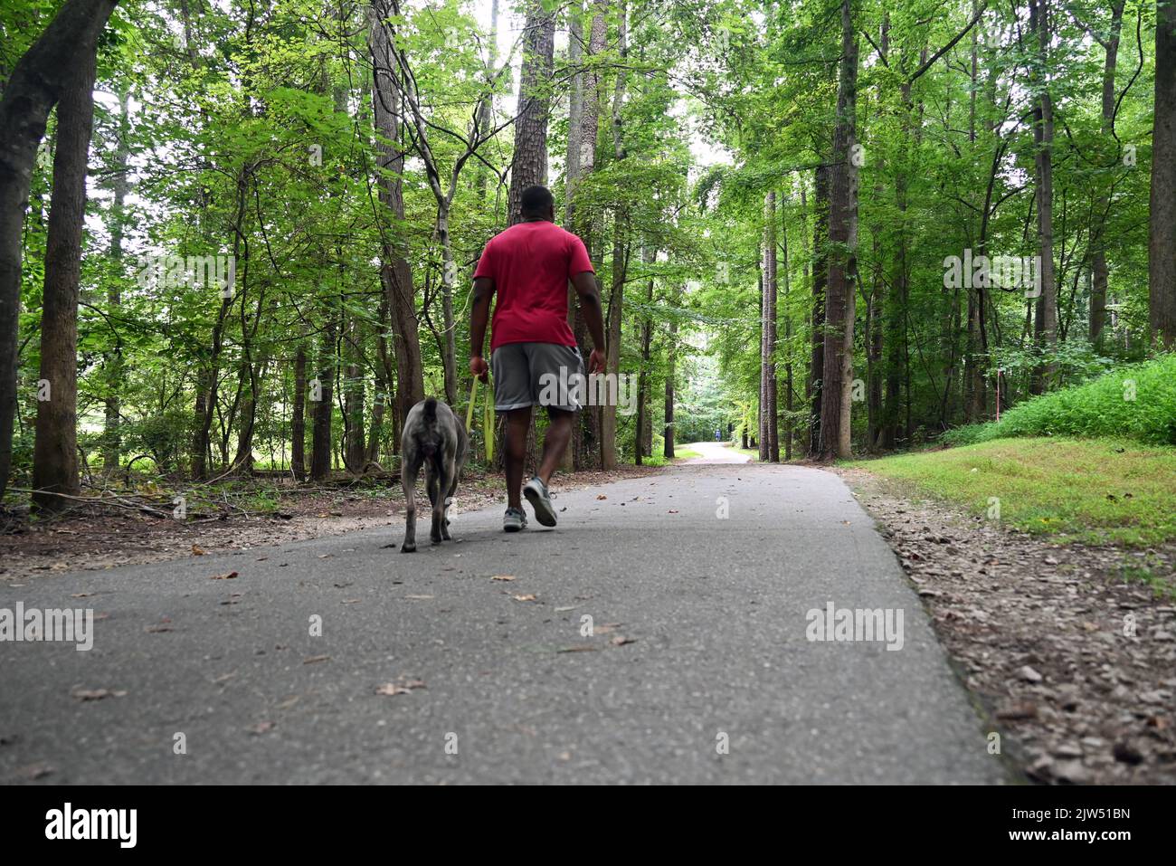 A man walks his dog around Shelley Lake on one of Raleigh's many wooded greenways. Stock Photo
