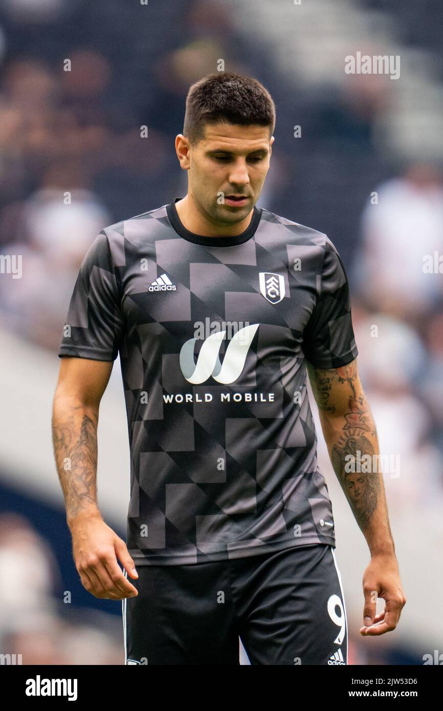 aleksandar-mitrovi-9-of-fulham-during-the-premier-league-match