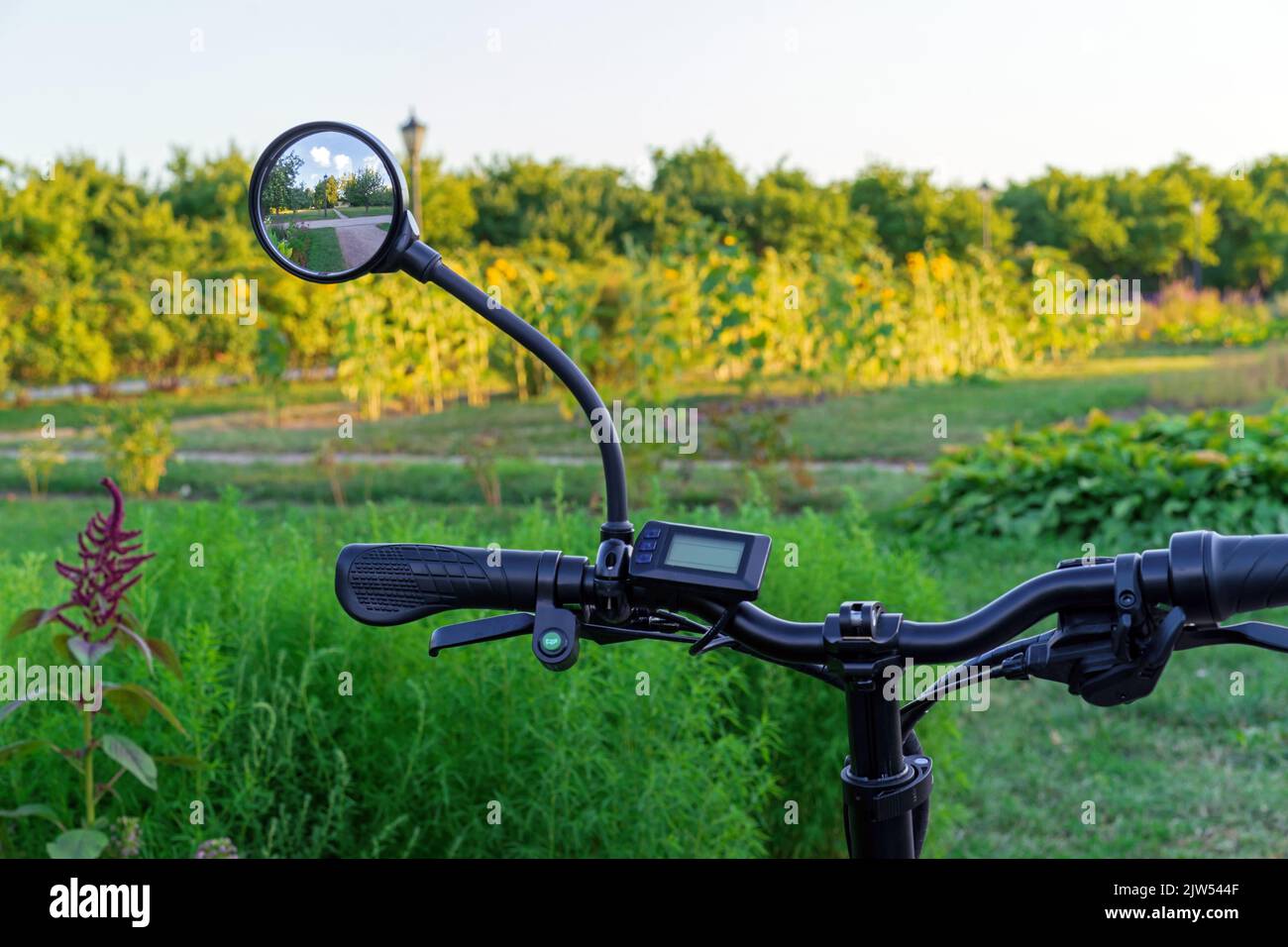 Bicycle rear view mirror with nature reflection. Stock Photo