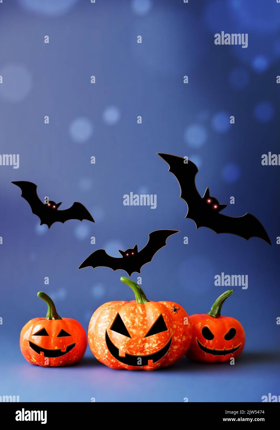 Black bats hi-res stock photography and images - Alamy